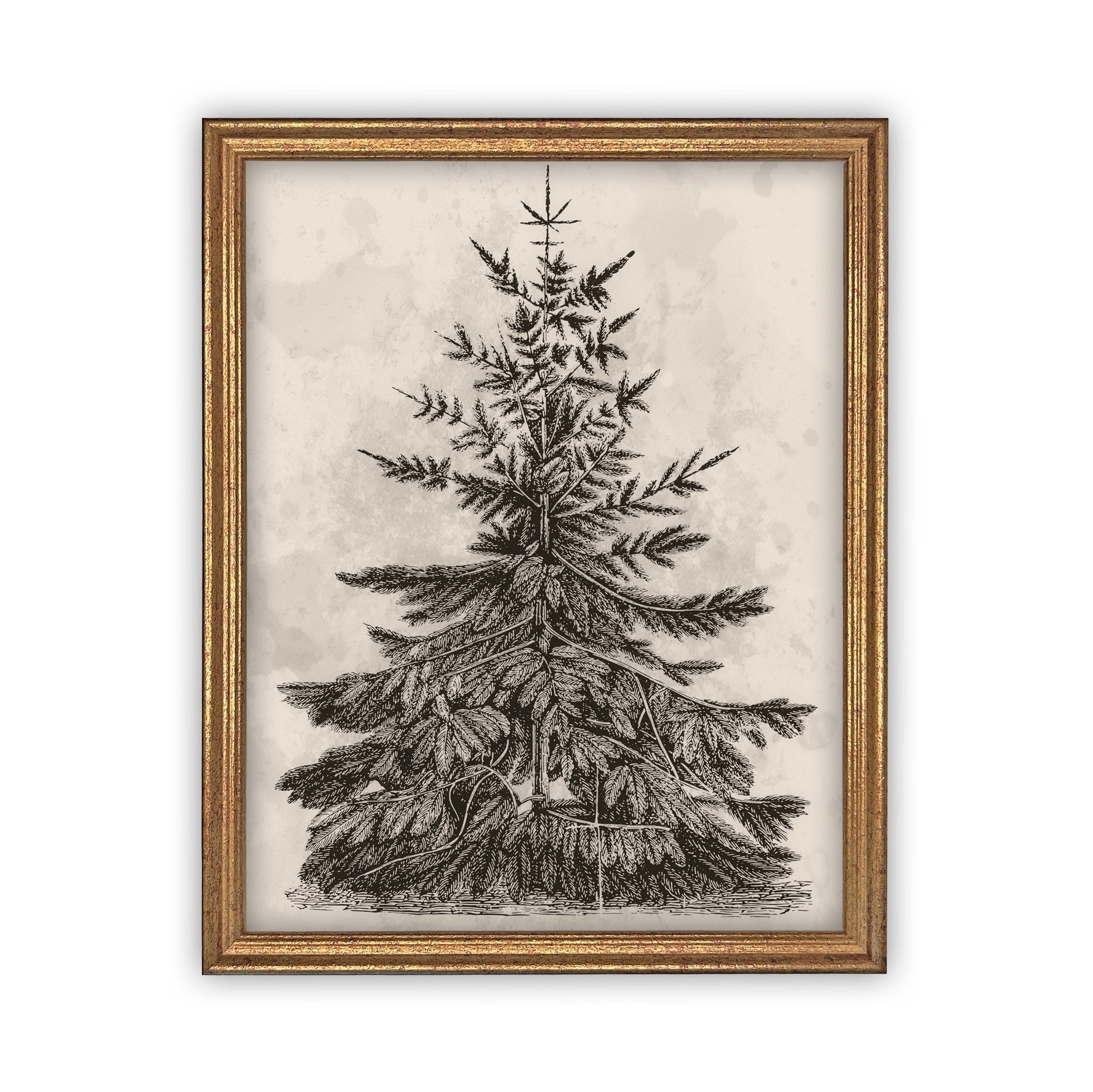 Vintage Framed Canvas Art #CH-306