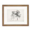 Vintage Framed Canvas Art  // Framed Vintage Print // Vintage Painting // Black White Trees Sketch // Farmhouse print //#BOT-123