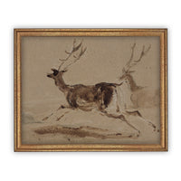 Vintage Framed Canvas Deer Art #CH-305