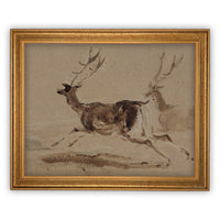 Vintage Framed Canvas Deer Art #CH-305