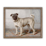 Vintage Framed Canvas Art // Framed Vintage Print // Pug Dog Painting // Vintage Dog Art //#A-114
