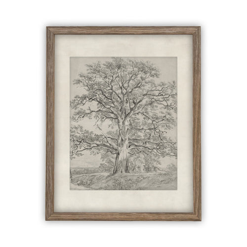 Vintage Framed Canvas Art  // Framed Vintage Print // Vintage Painting // Black White Tree Sketch // Farmhouse print //#BOT-121