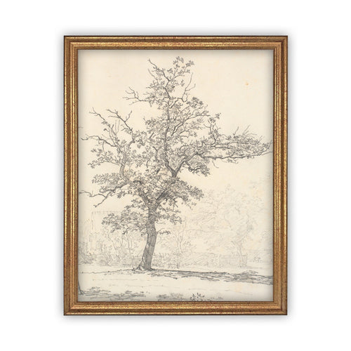 Vintage Framed Canvas Art  // Framed Vintage Print // Vintage Painting // Black White Tree Sketch // Farmhouse print //#BOT-116