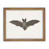 Vintage Framed Canvas Art  // Framed Vintage Print // Vintage Halloween Painting // Spooky Bat Wall Art // Halloween print //#H-101