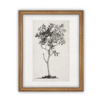 Vintage Framed Canvas Art  // Framed Vintage Print // Vintage Painting // Black White Tree Sketch // Farmhouse print //#BOT-124