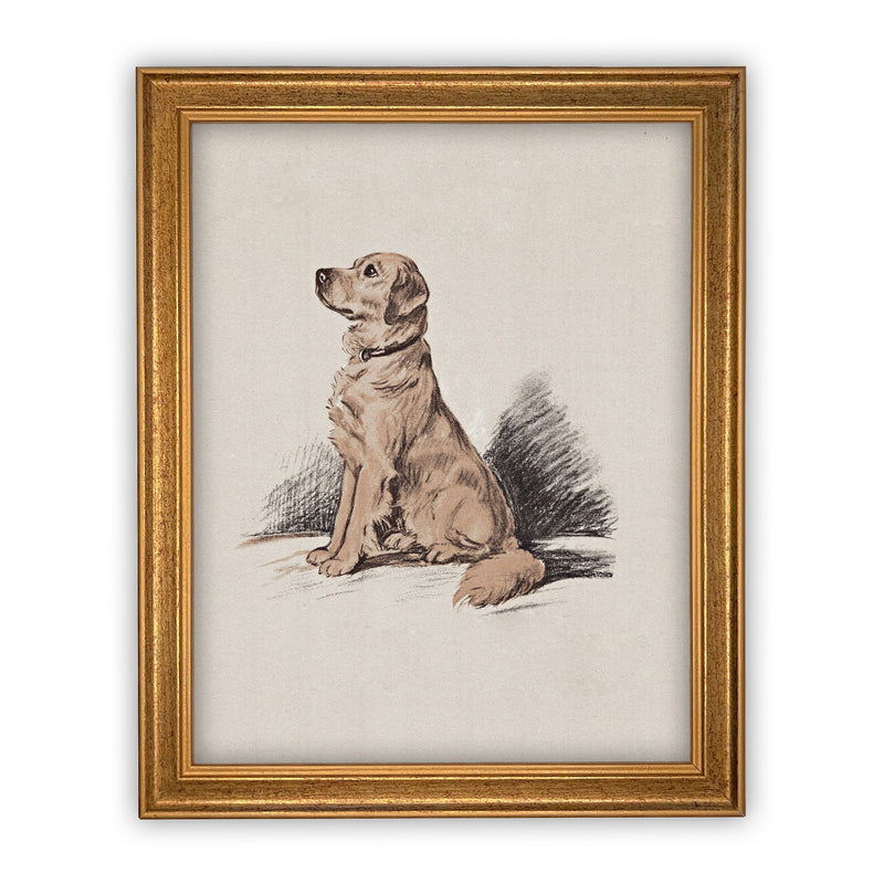 Vintage Framed Canvas Art // Framed Vintage Print // Golden Retriever Drawing Sketch// Vintage Dog Art// Boys Room or Nursery print //#A-107