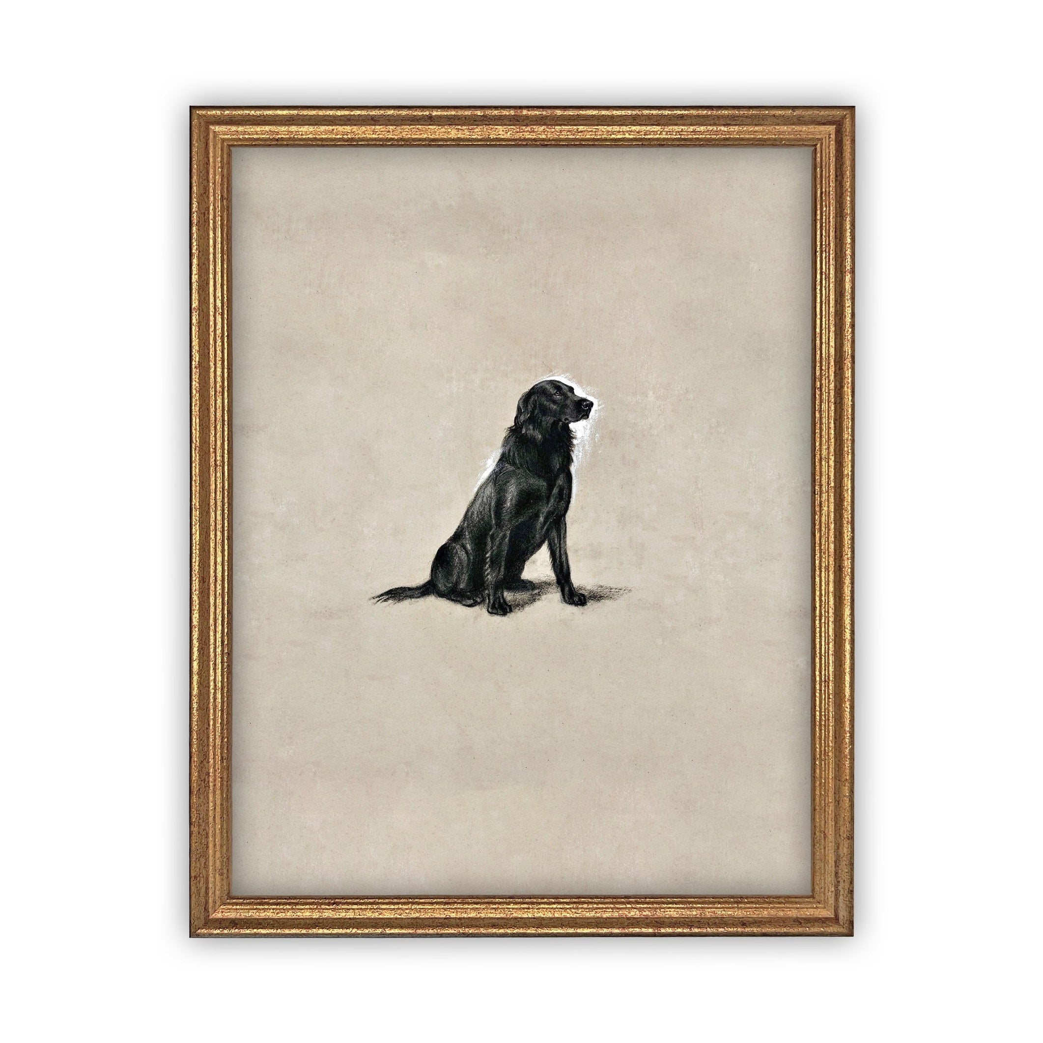 Vintage Framed Canvas Art  // Framed Vintage Print // Black Labrador Painting // Vintage Dog Art// Boys Room or Nursery print //#A-118