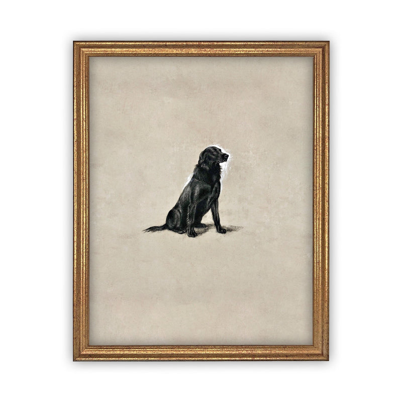 Vintage Framed Canvas Art  // Framed Vintage Print // Black Labrador Painting // Vintage Dog Art// Boys Room or Nursery print //#A-118