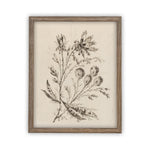 Vintage Framed Canvas Art  // Framed Vintage Print // Vintage Painting // Botanical Floral Sketch // Farmhouse print  //#BOT-115