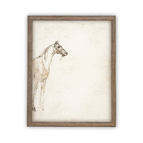 Vintage Framed Canvas Art  // Framed Vintage Print // Vintage Painting // Vintage Horse Sketch Art// Farmhouse print //#A-130