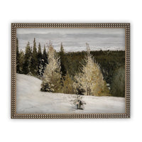 Vintage Framed Canvas Art #CH-302