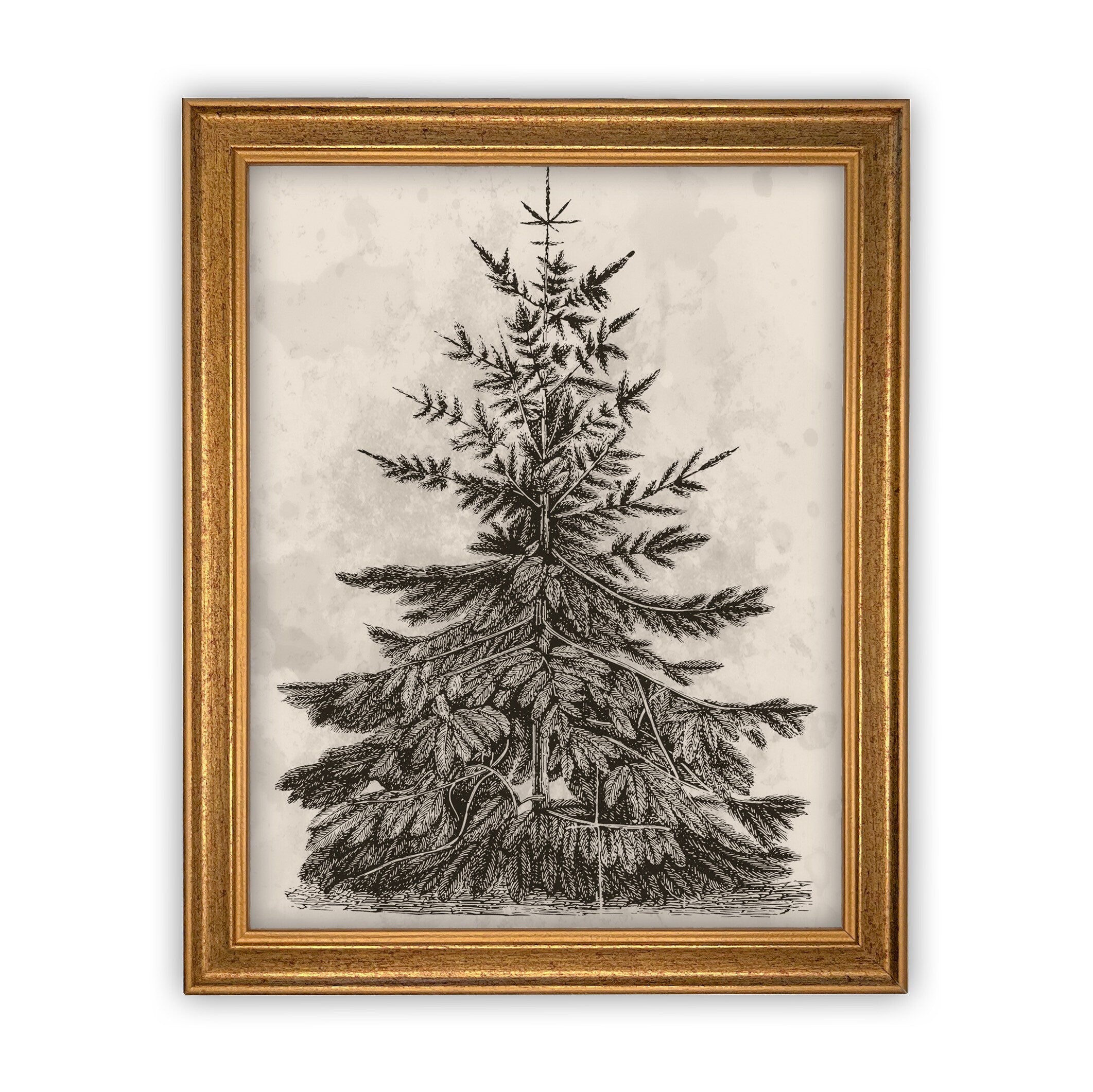 Vintage Framed Canvas Art #CH-306