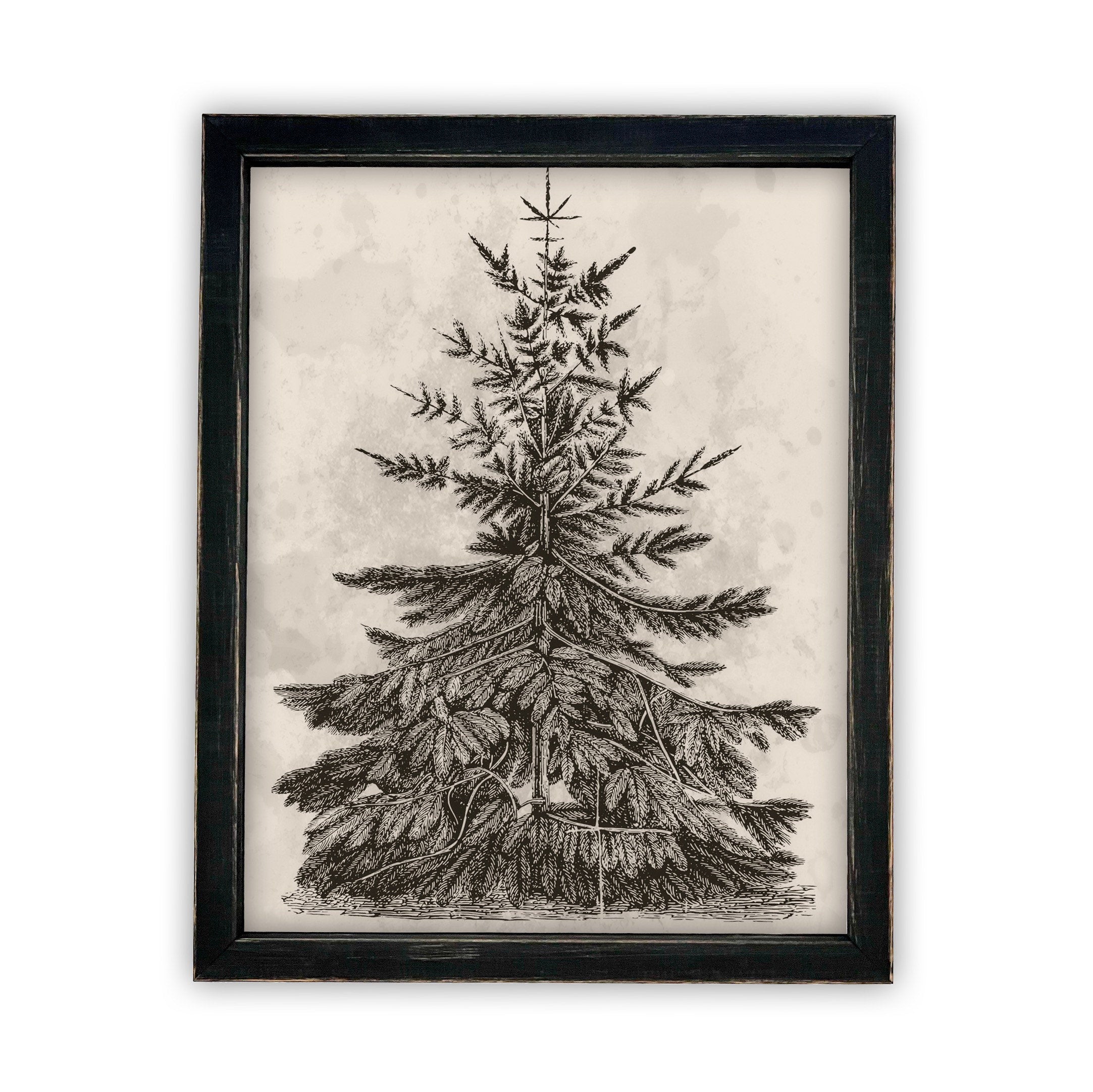 Vintage Framed Canvas Art #CH-306