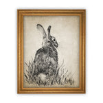 Vintage Framed Canvas Art  // Framed Easter Art // Vintage Rabbit Print // Vintage Bunny Sketch // Girls Room or Nursery print //#A-148
