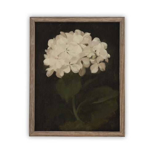 Vintage Framed Canvas Art  // Framed Vintage Print // Vintage Painting // Framed Vintage Hydrangea // Botanical Floral Art //#BOT-103