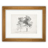 Vintage Framed Canvas Art  // Framed Vintage Print // Vintage Painting // Black White Trees Sketch // Farmhouse print //#BOT-123