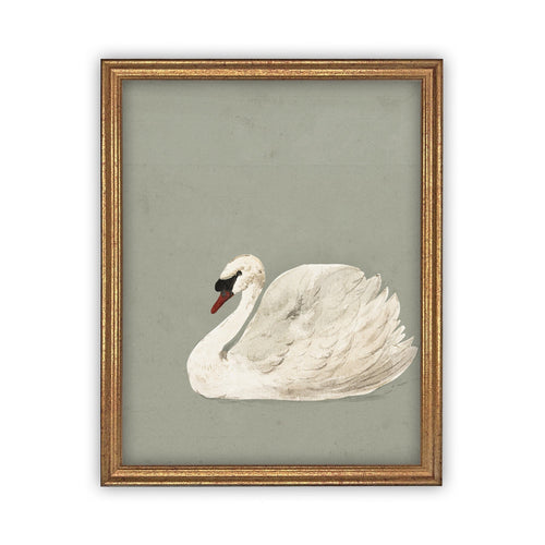 Vintage Framed Canvas Art // Framed Vintage Print // Vintage Painting // White and Green Swan Art // Girls Room or Nursery print //#A-155