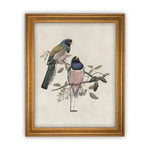 Vintage Framed Canvas Art  // Framed Vintage Print // Vintage Painting // Birds Art // Girls Room or Nursery print //#A-103