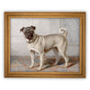 Vintage Framed Canvas Art // Framed Vintage Print // Pug Dog Painting // Vintage Dog Art //#A-114