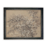 Vintage Framed Canvas Art  // Framed Vintage Print // Vintage Painting // Neutral Botanical Sketch // Farmhouse print //#BOT-112