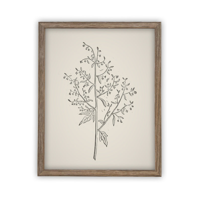 Vintage Framed Canvas Art // Framed Vintage Print // Vintage Branch Painting // Botanical Sketch // Farmhouse print //#BOT-129