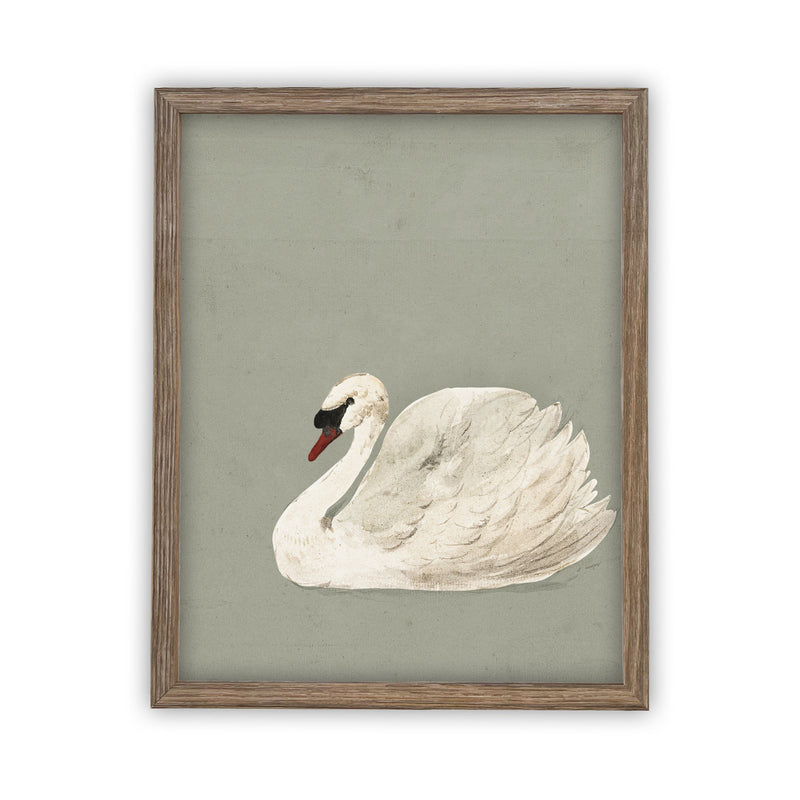 Vintage Framed Canvas Art // Framed Vintage Print // Vintage Painting // White and Green Swan Art // Girls Room or Nursery print //#A-155