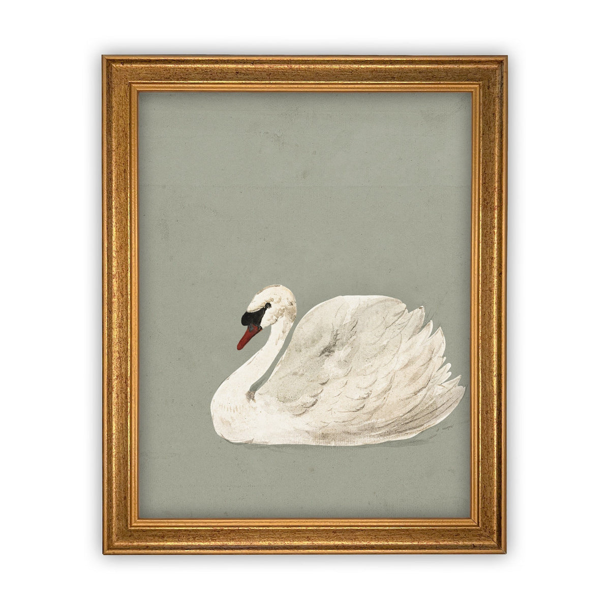 Vintage Framed Canvas Art // Framed Vintage Print // Vintage Painting // White and Green Swan Art // Girls Room or Nursery print //#A-155