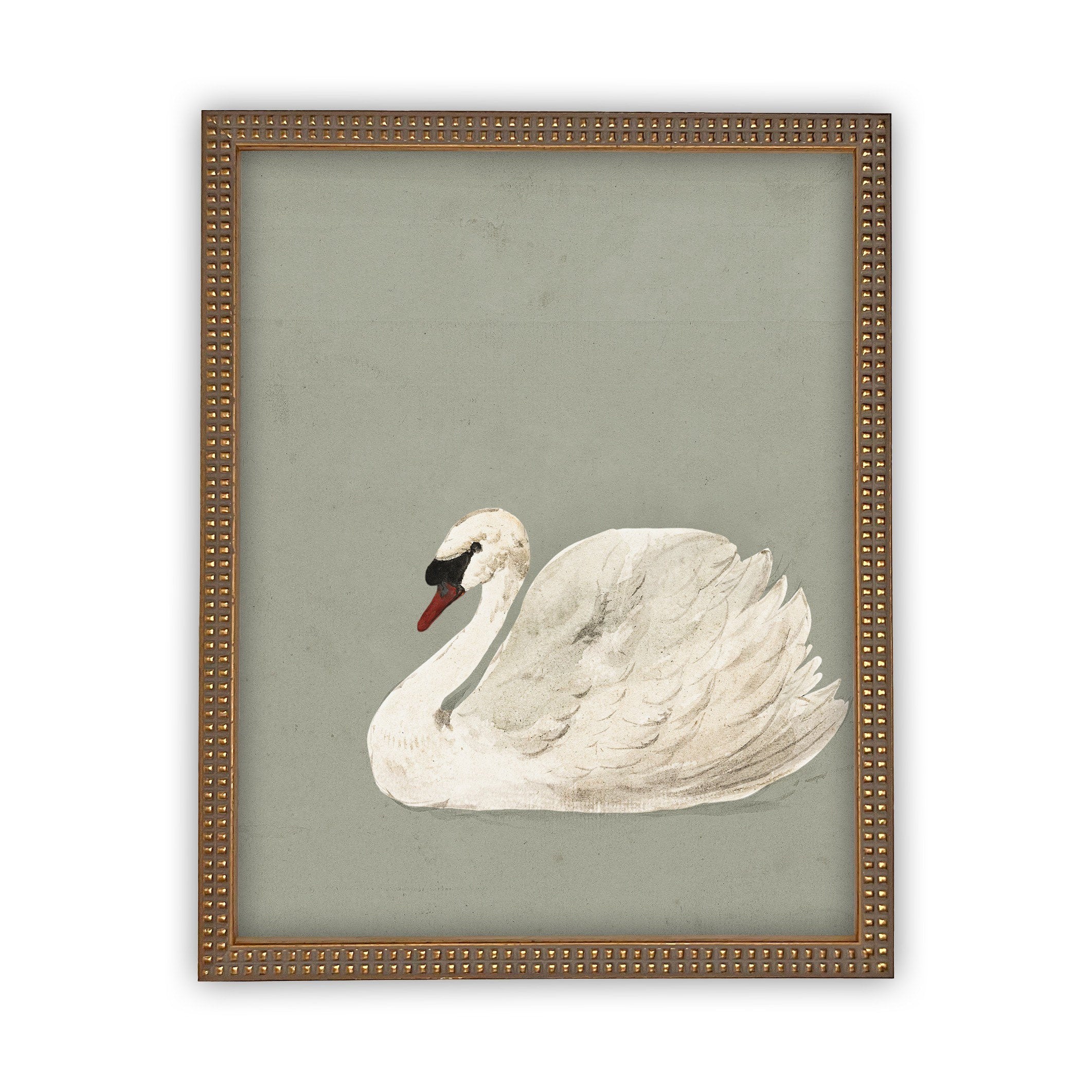 Vintage Framed Canvas Art // Framed Vintage Print // Vintage Painting // White and Green Swan Art // Girls Room or Nursery print //#A-155