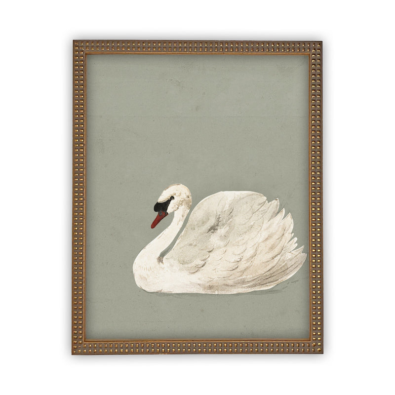 Vintage Framed Canvas Art // Framed Vintage Print // Vintage Painting // White and Green Swan Art // Girls Room or Nursery print //#A-155