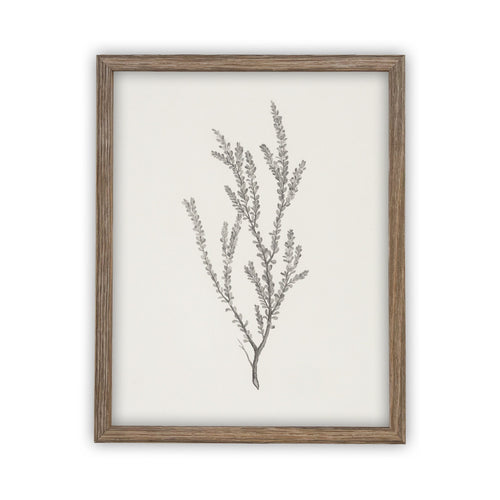 Vintage Framed Canvas Art // Framed Vintage Print // Vintage Painting // Black & White Botanical Sketch // Farmhouse print //#BOT-132