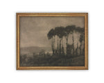 Vintage Framed Canvas Art // Framed Vintage Print // Vintage Painting // Black White Tree Sketch // Moody Art print //#LAN-206