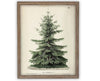 Vintage Framed Canvas Art // Framed Vintage Christmas Print // Vintage Painting // Christmas Tree // Farmhouse print //#CH-320
