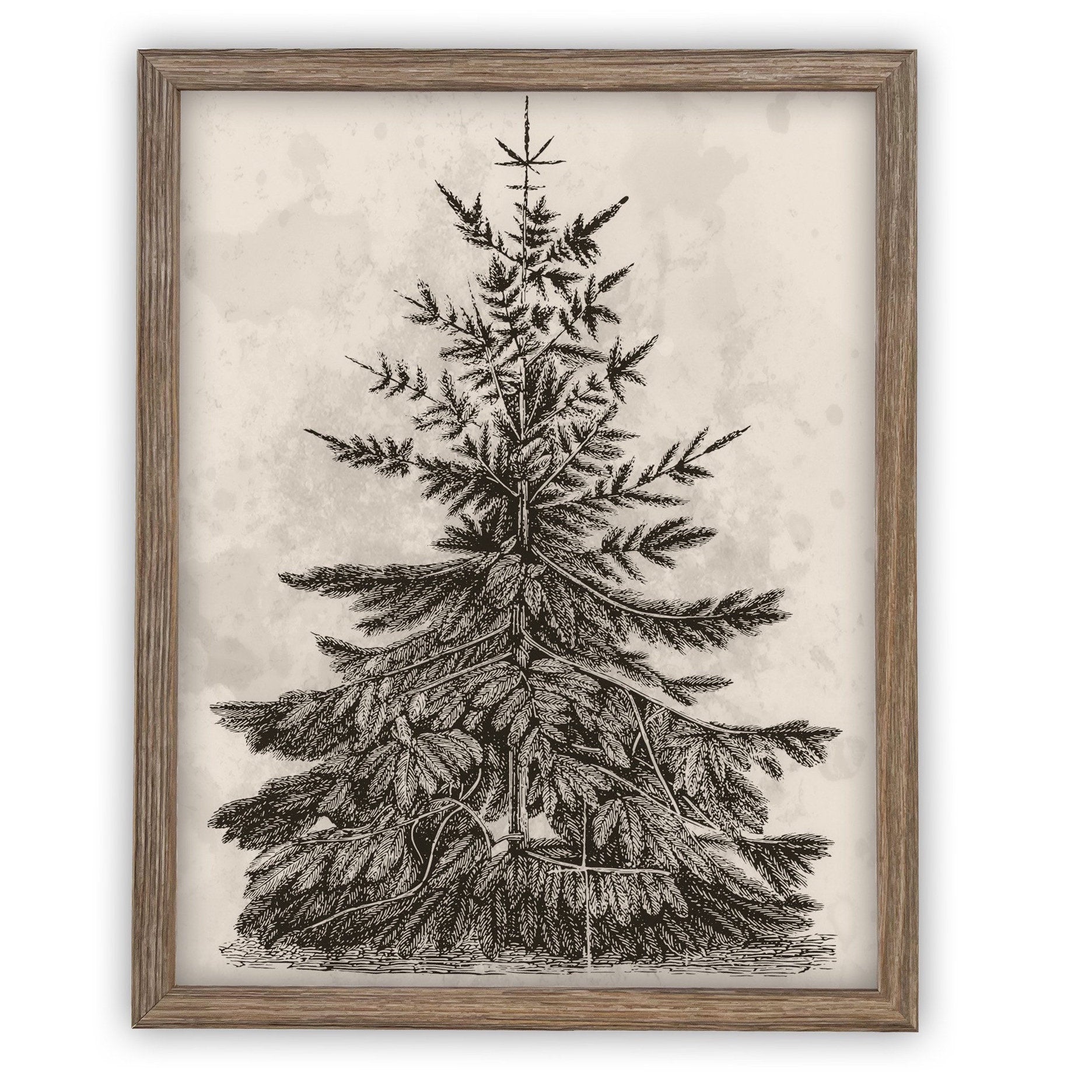 Vintage Framed Canvas Art #CH-306