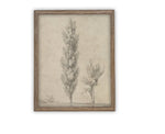 Vintage Framed Canvas Art // Framed Vintage Print // Vintage Painting // Botanical Sketch // Farmhouse print //#BOT-144