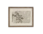 Vintage Framed Canvas Art // Framed Vintage Print // Vintage Painting // Botanical Sketch // Farmhouse print //#BOT-145