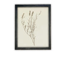 Vintage Framed Canvas Art // Framed Vintage Print // Vintage Painting // Botanical Sketch // Farmhouse print //#BOT-147
