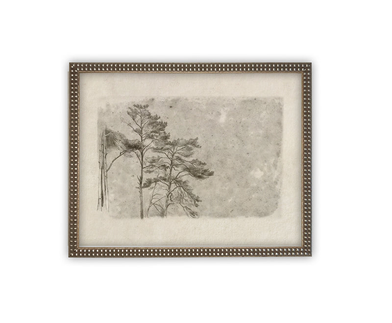 Vintage Framed Canvas Art // Framed Vintage Print // Vintage Painting // Botanical Sketch // Farmhouse print //#BOT-145
