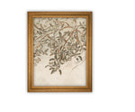 Vintage Framed Canvas Art // Framed Vintage Print // Vintage Painting // Botanical Sketch // Farmhouse print //#BOT-146