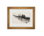 Vintage Framed Canvas Art // Framed Vintage Print // Vintage Painting // Black White Tree Sketch // Minimalist Art //#LAN-225