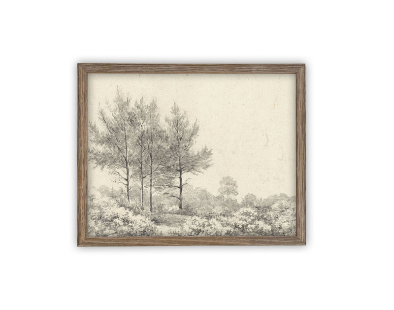 Vintage Framed Canvas Art // Framed Vintage Print // Vintage Painting // Black White Tree Sketch // Minimalist Art //#LAN-227